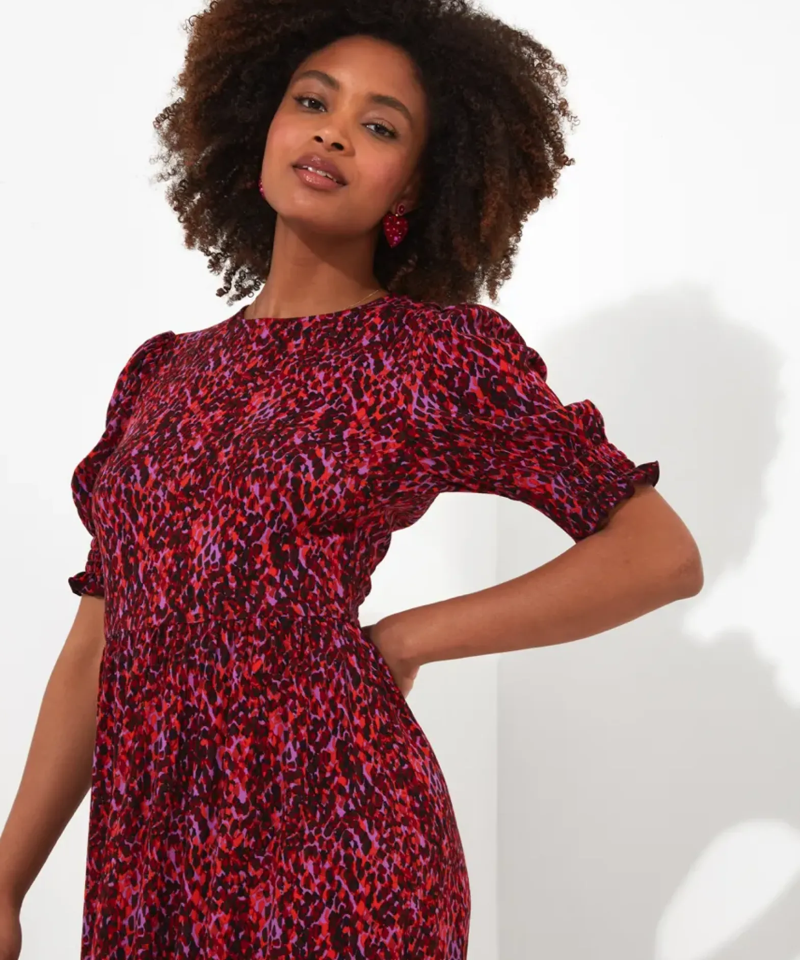Intelligent Animal Dress